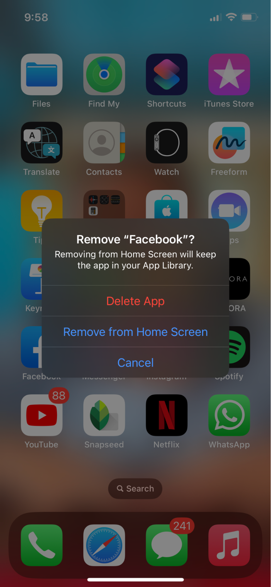 Hogyan lehet megszabadulni az adware-től az iPhone-on? (2024-es útmutató) 4 App-Removal-Confirmation