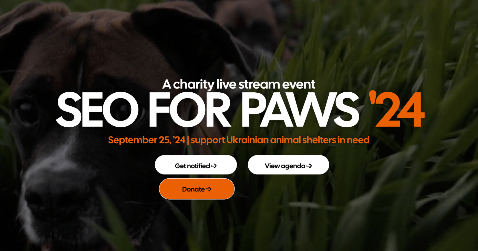 SEO for Paws Ingyenes élő közvetítés konferencia a kisállatmenhelyek támogatására
