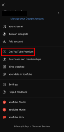A YouTube lejátszása a háttérben (Android és iPhone) 1 Képernyőkép a YouTube-ról Get YouTube Premium Option