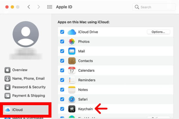 Hogyan találhat Wi-Fi jelszót iPhone-on 3 egyszerű trükkben 23 Képernyőkép a „Keychain” keresési helyéről.