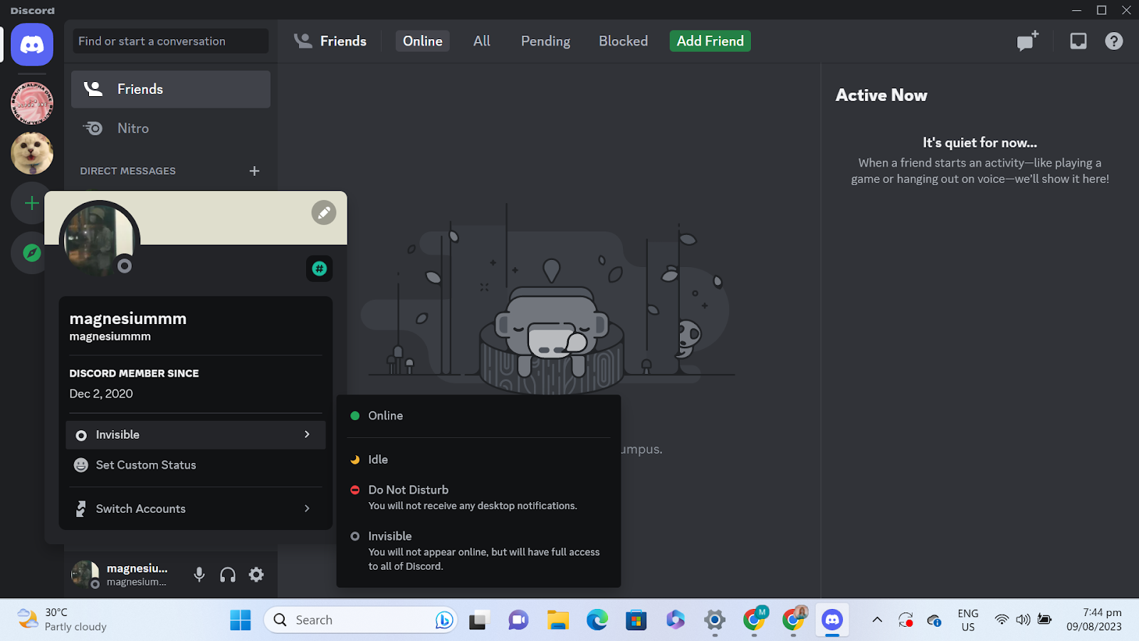 Mit jelent az üresjárat a Discordon? 1 Discord oldal az állapothoz, testreszabáshoz és fiókváltáshoz